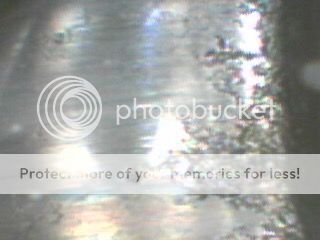 IMG_0902_zpsxsgpkj81.jpg