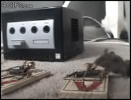 Mousetrap-friend-fail.gif