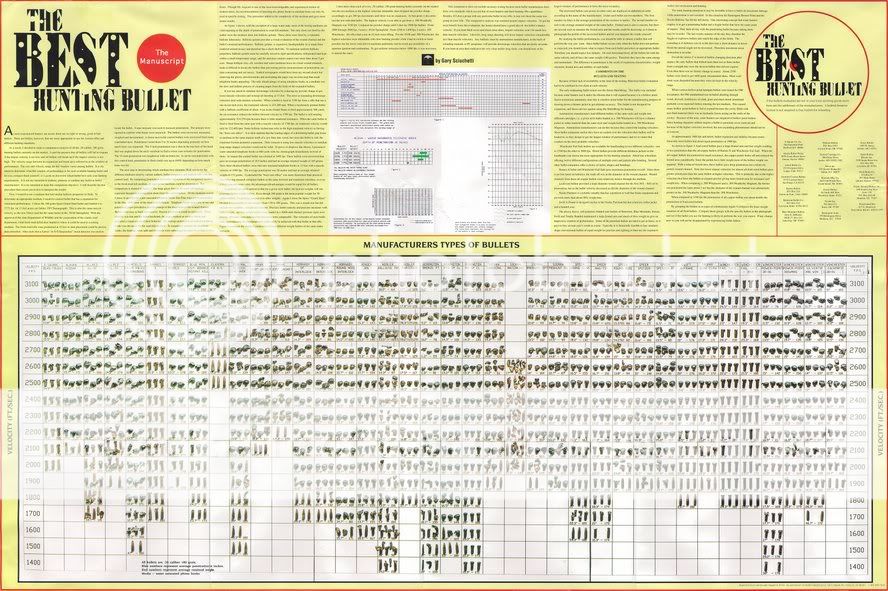 bestbullet.jpg