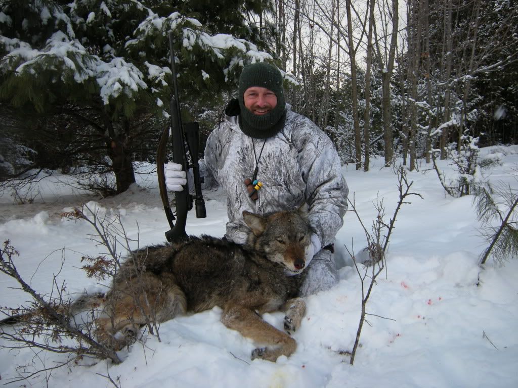 Geowolf_006.jpg