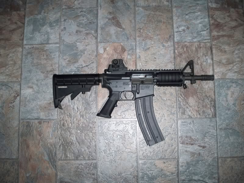 colt0042.jpg