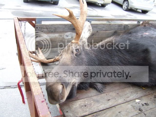 DSCF3254.jpg