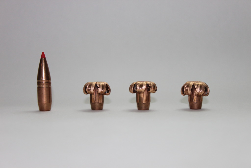 Hornady-250gr-GMX.jpg