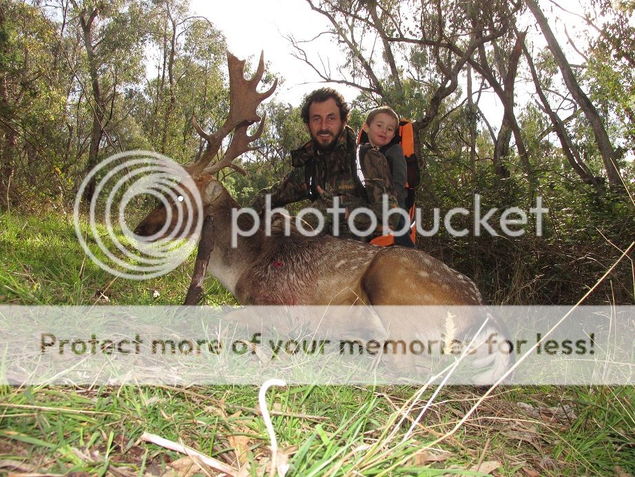 IMG_0878apr21.jpg~original