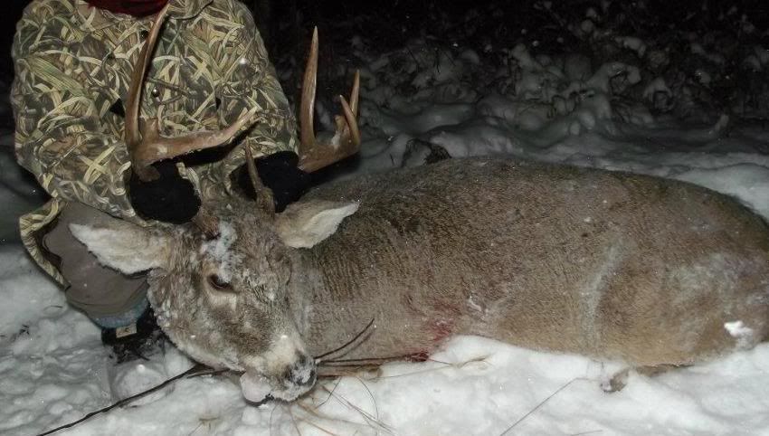 2011buck.jpg