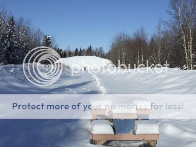DSCF2100.jpg