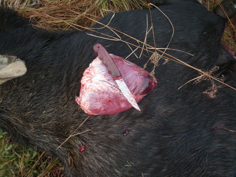 MooseOpener016.jpg