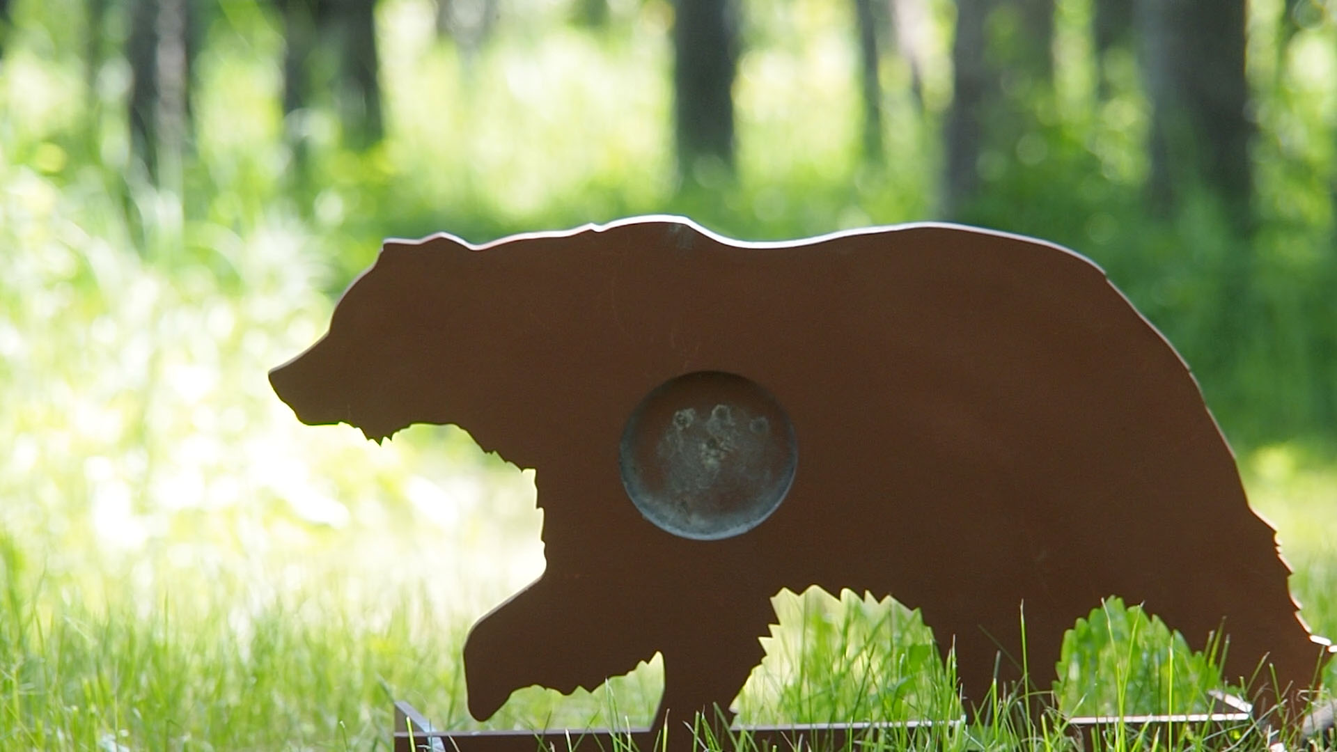 grizzly_a.jpg