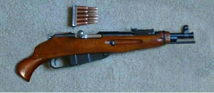 minimosin1.jpg