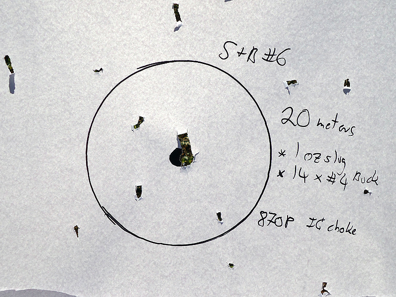Slug_and_Buck_No6_14Pellets_No4Buck_20Meters_lowres.JPG