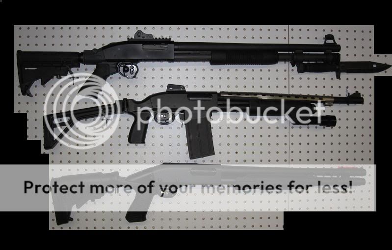 Shotguns.jpg