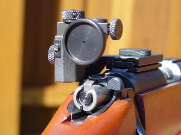 Rear_aperture_sight.jpg