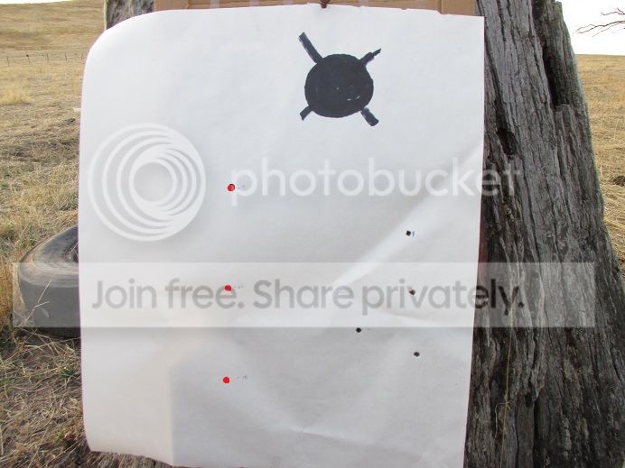 IMG_0392target300.jpg~original