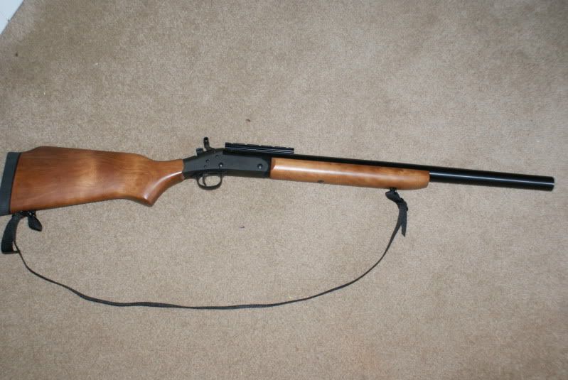 284.jpg