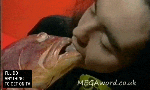 tumblr_lnd9om9gN21qg39ewo1_500.gif