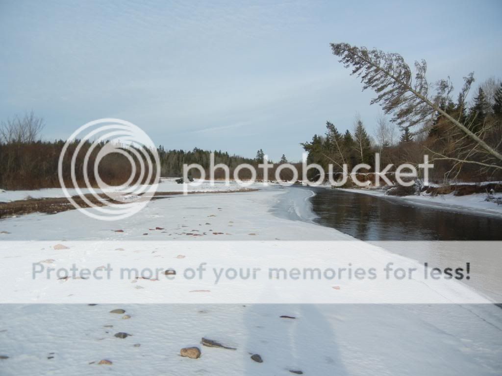 January12201318_zpsd97bd558.jpg