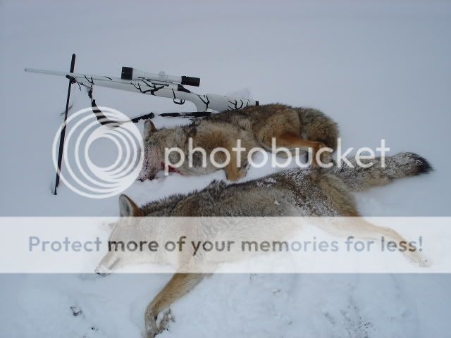 savageantlers023.jpg