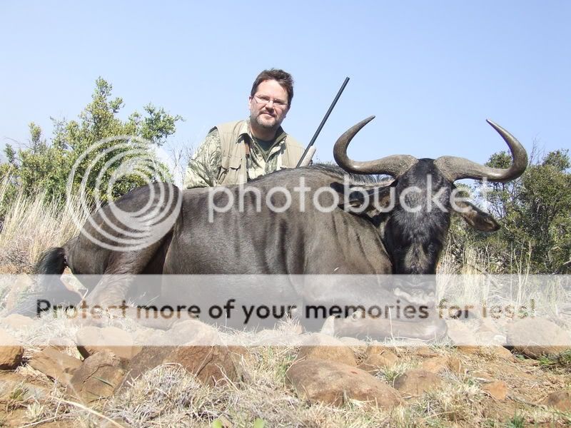 Day3-BlueWildebeest.jpg