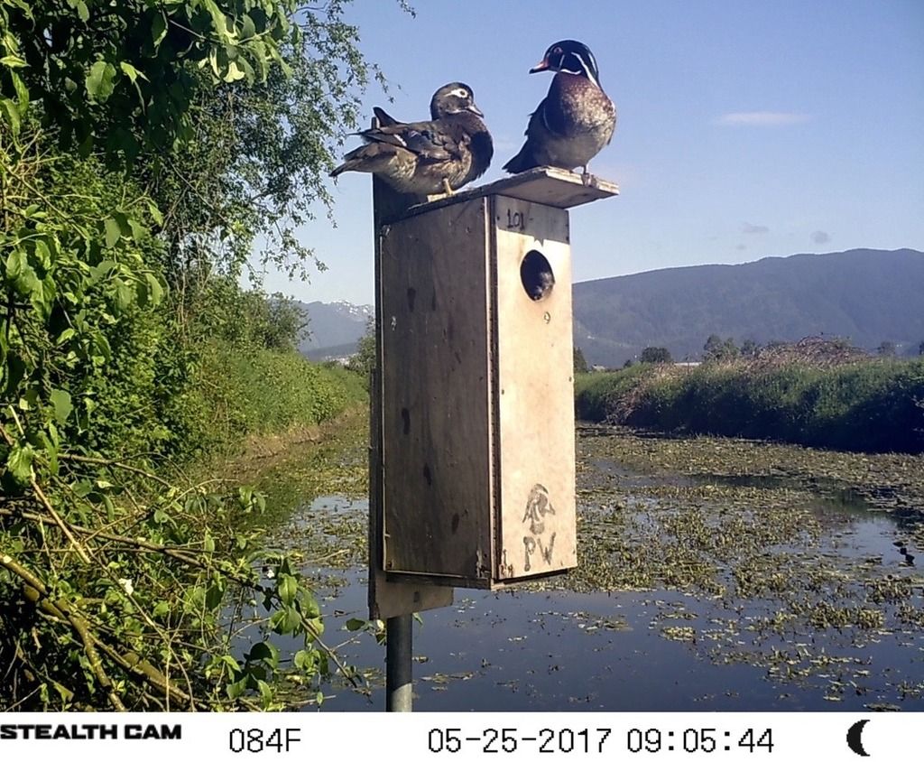 image_zpsvd1b2sdn.jpeg~original