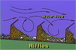 drawingriffles.jpg
