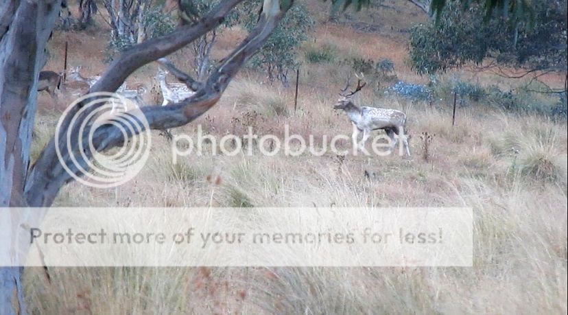 Untitledclefty.jpg~original