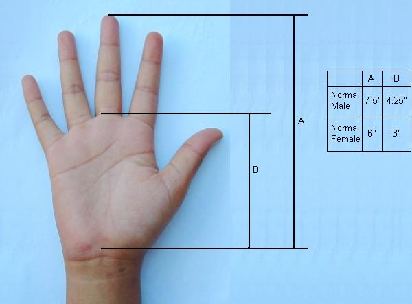 hand.jpg