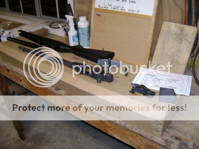 DSC00312.jpg