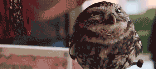RrJD1.gif