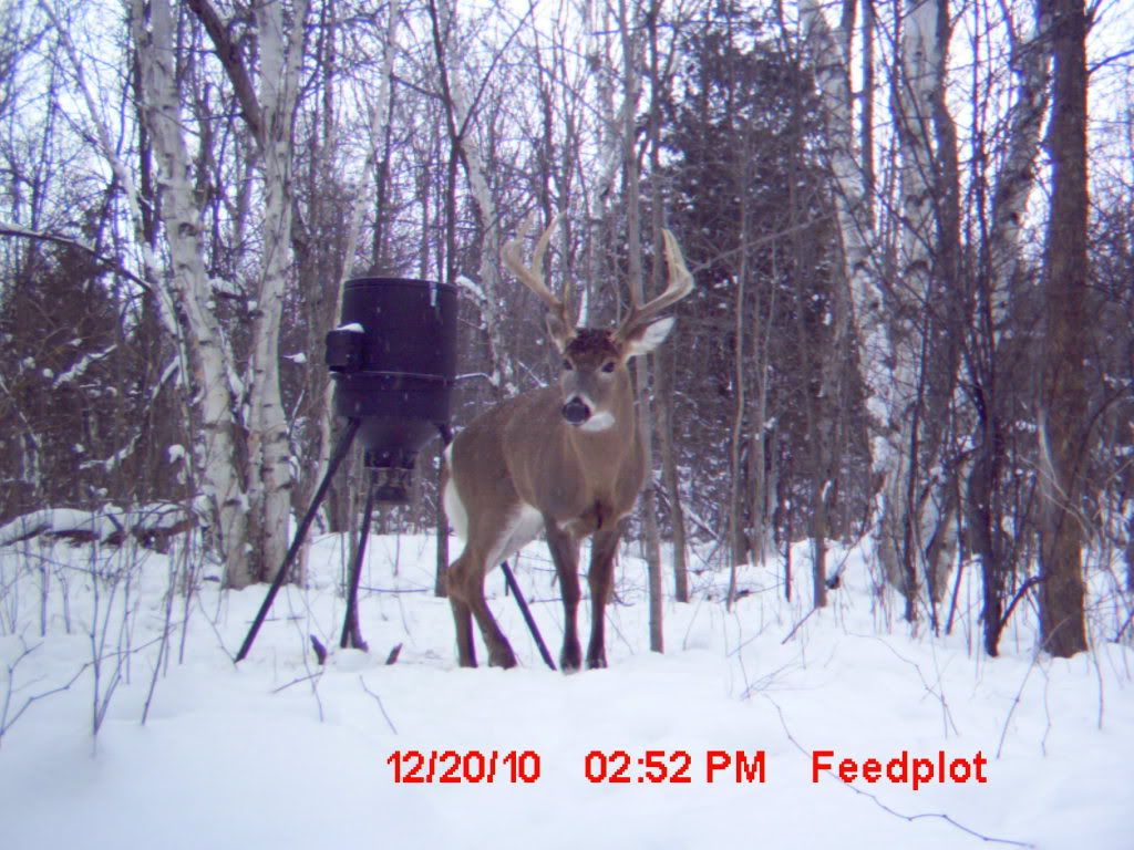 MDGC0061.jpg