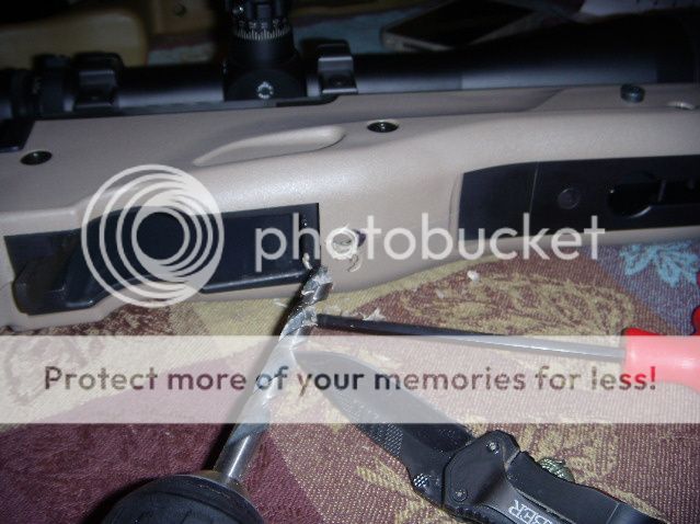 DSCN3784.jpg