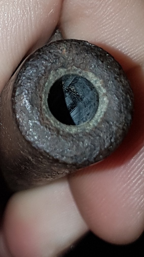 pEx4GiC.jpg