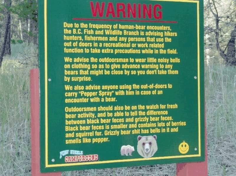 BearSafety.jpg