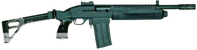 hawk_semi_std_zps452cc0fa.jpg