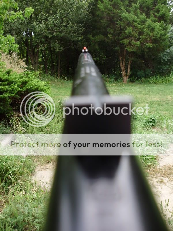 BuckSightPicture.jpg