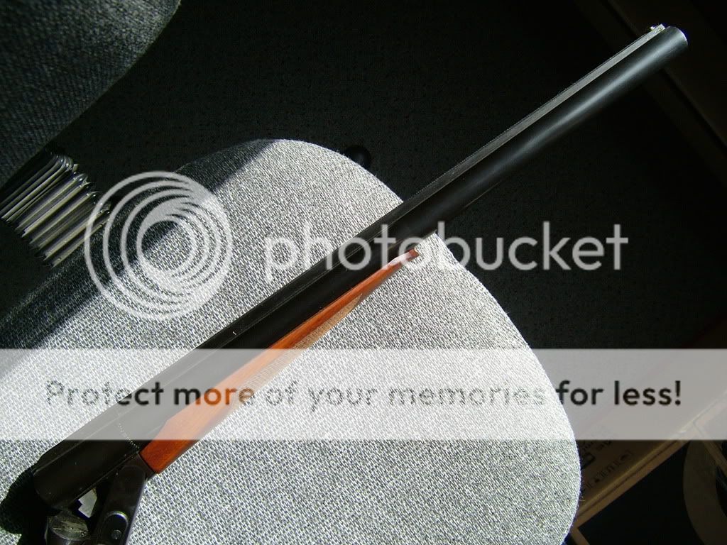 DSCF2254.jpg