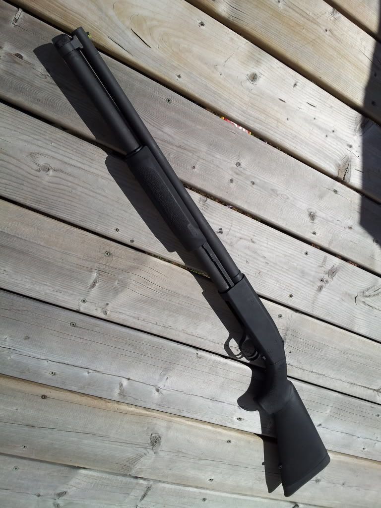 20120402_142912.jpg
