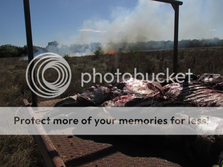 IMG_1523firemeat.jpg~original