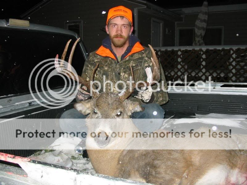 2007deer11161.jpg
