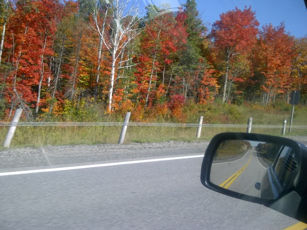 JustnorthofNorthBay.jpg