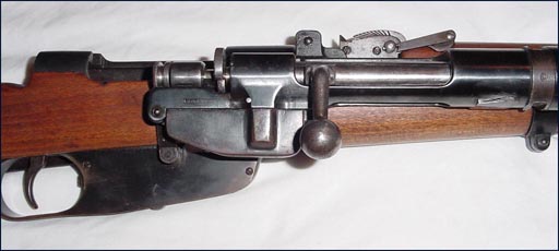 cl7.jpg