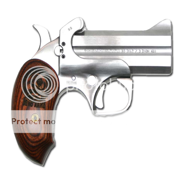BASS-600-1.png