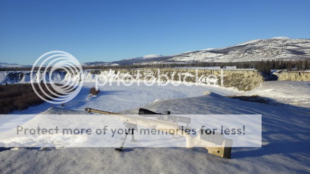 IMGP0049.jpg