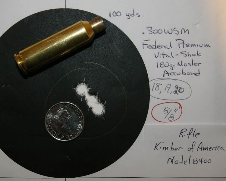 300WSM_1.jpg