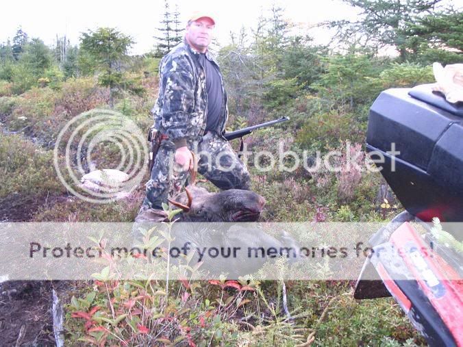 2008moosehunt007.jpg
