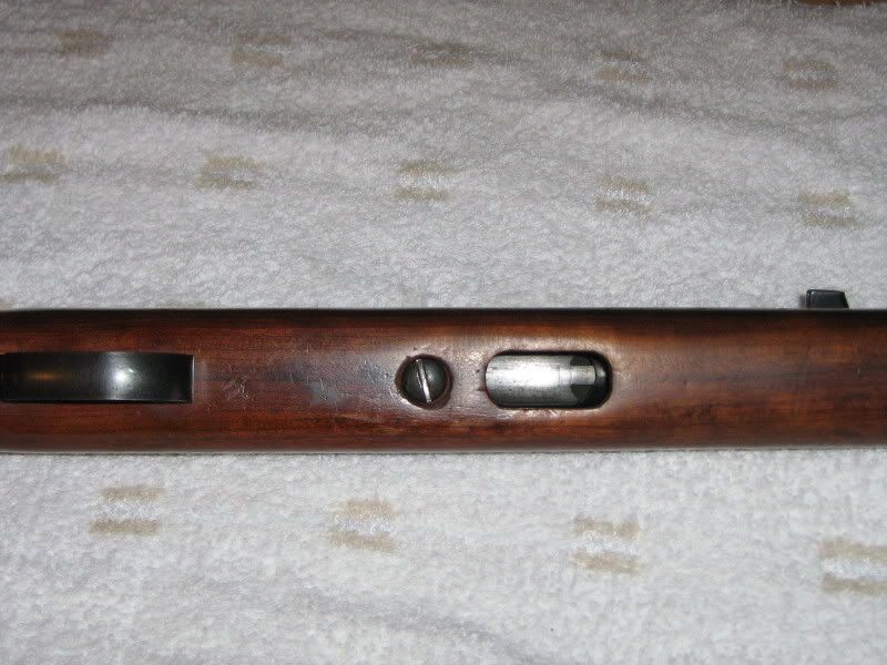 Underside.jpg