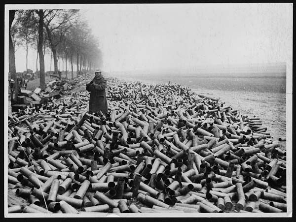 shells.jpg