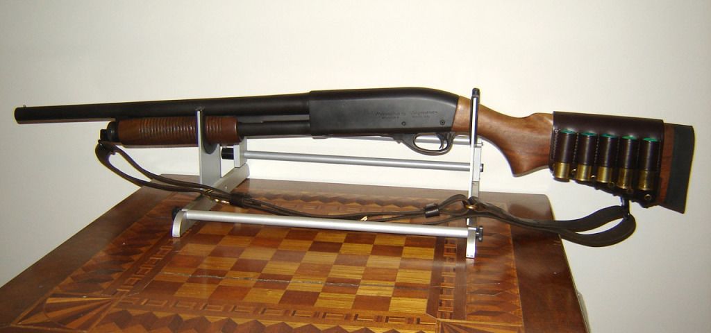 870_1.jpg