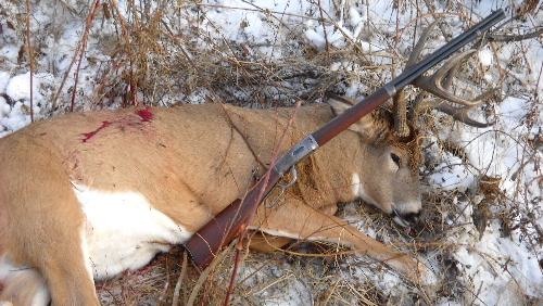32buck.JPG