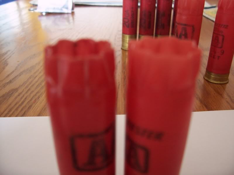 000_0801.jpg