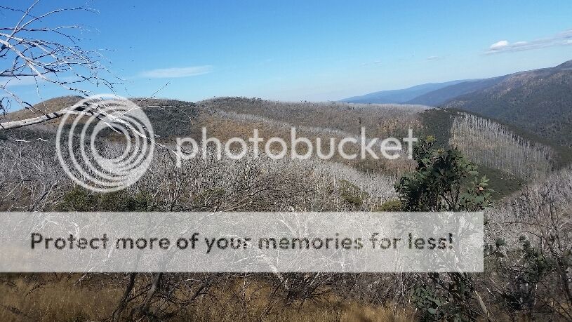 2015-03-23%2021.25.54.jpg~original